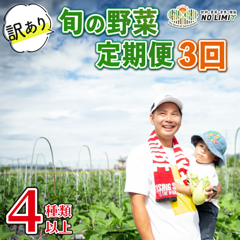 訳あり 野菜 定期便 3回 4～6品目 詰め合わせ セット 旬野菜 レタス グリーンリーフ サニーレタス ロメインレタス キャベツ 赤キャベツ 大根 ニラ スナップエンドウ さやえんどう 人参 玉ねぎ ゴーヤ オクラ 茄子 白茄子 生姜 青ネギ 徳島県 阿波市 四国