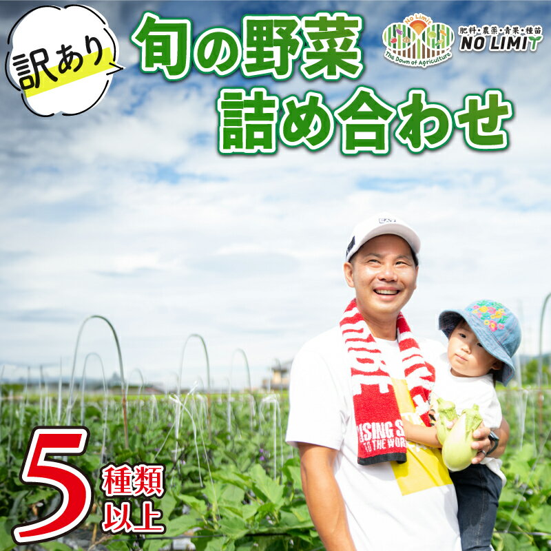 野菜 訳あり セット 規格外 5種以上 詰め合わせ 旬野菜 新鮮 レタス グリーンリーフ サニーレタス ロメインレタス キャベツ 赤キャベツ 大根 ニラ スナップエンドウ さやえんどう 人参 玉ねぎ ゴーヤ オクラ 茄子 白茄子 生姜 青ネギ 徳島県 阿波市 四国