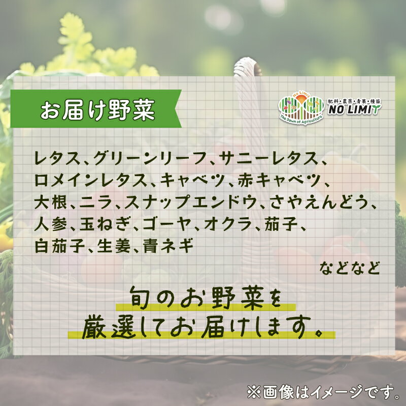 【ふるさと納税】 野菜 訳あり セット 規格外 5種以上 詰め合わせ 旬野菜 新鮮 レタス グリーンリーフ サニーレタス ロメインレタス キャベツ 赤キャベツ 大根 ニラ スナップエンドウ さやえんどう 人参 玉ねぎ ゴーヤ オクラ 茄子 白茄子 生姜 青ネギ 徳島県 阿波市 四国