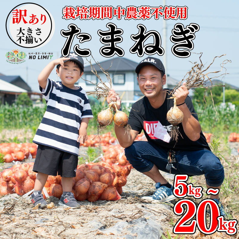 【ふるさと納税】 訳あり 不揃い 野菜 玉ねぎ 20kg サイズ混合 たまねぎ 玉葱 ハンバーグ 肉じゃが オニオン 送料無料 健康 味噌汁 数量限定 新鮮 季節 産地直送 令和5年 2023年 発送 徳島県 阿波市のサムネイル