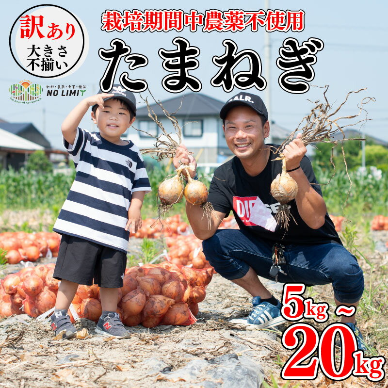 【ふるさと納税】 訳あり 玉ねぎ 5kg 10kg 20kg サイズ混合 不揃い 野菜 たまねぎ 玉葱 ハンバーグ 肉じゃが オニオン 健康 味噌汁 新鮮 季節 産地直送 徳島県 阿波市