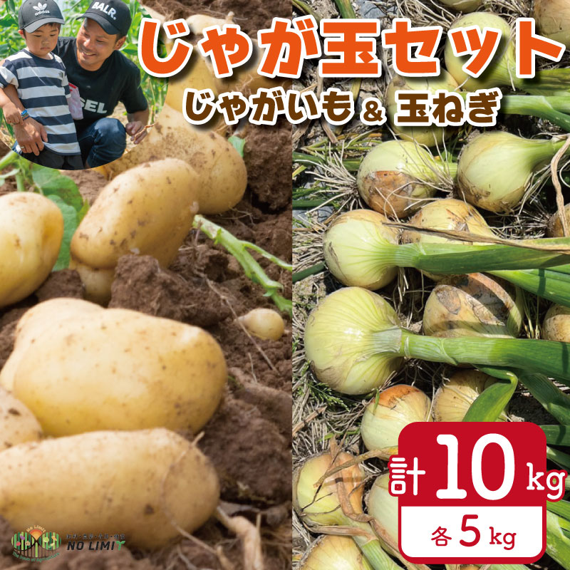 24位! 口コミ数「1件」評価「5」 訳あり 野菜 玉ねぎ じゃがいも 詰め合わせ セット 約10kg サイズ混合 玉葱 メークイン 芋 じゃが芋 不揃い 味噌汁 ハンバーグ ･･･ 