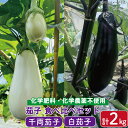 【ふるさと納税】 なす 千両なす 白なす セット ミックス 2色 約 2kg 詰め合わせ 新鮮 産地直送 中華 漬物 夏野菜 人気急上昇 阿波市 徳島県