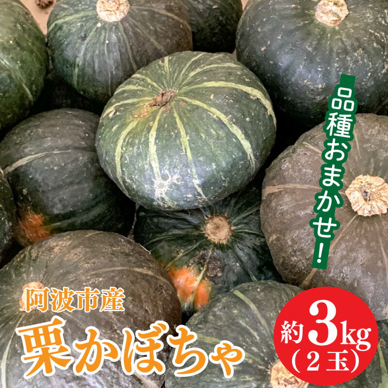 1位! 口コミ数「0件」評価「0」 かぼちゃ 2玉 約 3kg 化学肥料 化学農薬 不使用 南瓜 夏野菜 くり将軍 九重栗 くり天下 煮物 料理 スイーツ おせち ハロウィン･･･ 