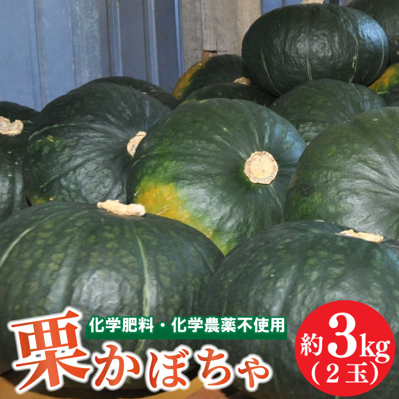 かぼちゃ 2玉 約3kg 品種おまかせ 南瓜 夏野菜 くり将軍 九重栗 くり天下 こだわり栽培 煮物 料理 スイーツ おせち ハロウィン 阿波市 徳島県 楠農園