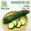 【ふるさと納税】 野菜 ズッキーニ 約 2kg 朝どれ 産地直送 夏野菜 サラダ 肉巻き BBQ 先行予約 徳島県 阿波市