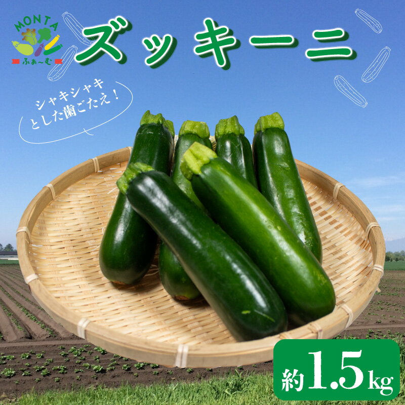 【ふるさと納税】 野菜 ズッキーニ 約 1.5kg 朝どれ 