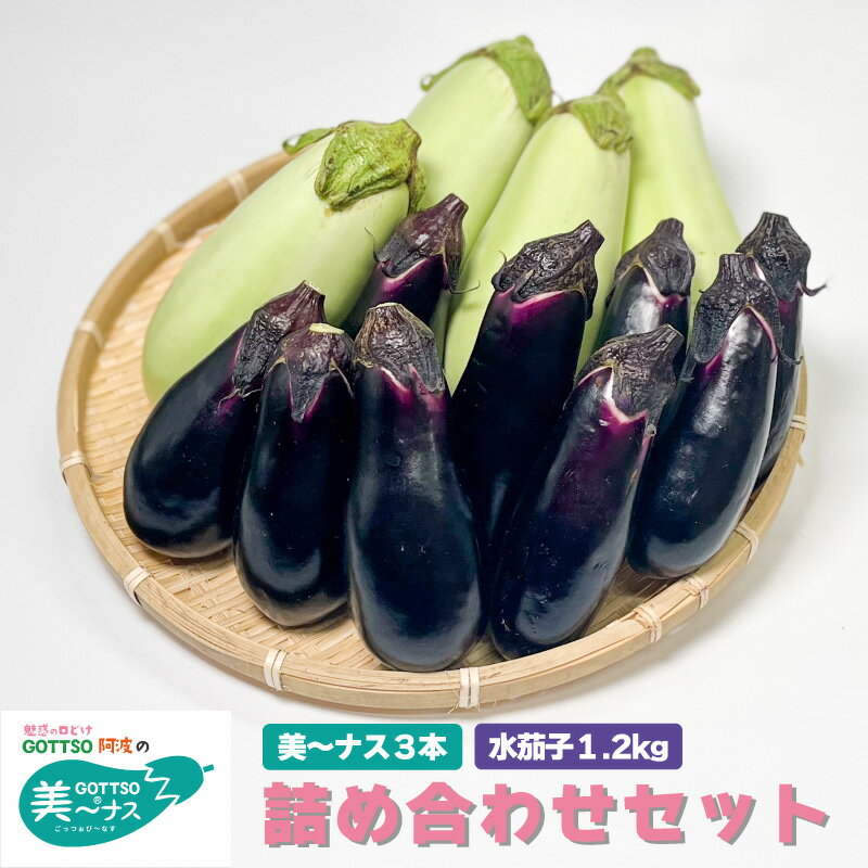 【ふるさと納税】 野菜 夏野菜 なすび 茄子 美～ナス 10本 水茄子 約2kg 詰め合わせ セット 白ナス 翡翠茄子 朝どれ 産地直送 漬物 浅漬 天ぷら 徳島県 阿波市のサムネイル