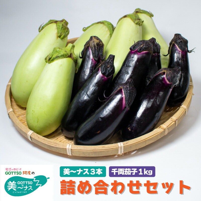 野菜 夏野菜 なすび 茄子 美～ナス 3本 千両茄子 約1kg 詰め合わせ セット 朝どれ 産地直送 先行予約 漬物 浅漬 天ぷら 徳島県 阿波市