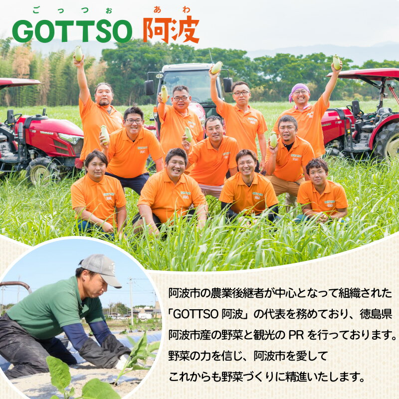 【ふるさと納税】 ブロッコリー 約2kg 野菜 やさい 国産 朝採れ 新鮮 旬 季節野菜 産地直送 鮮度抜群 サラダ スープ 味噌汁 鍋 シチュー カレー 和食 洋食 中華 栄養 ビタミン 美容 健康 冷蔵 お取り寄せ グルメ 送料無料 徳島県 阿波市 MONTAふぁ～む