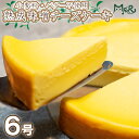 8位! 口コミ数「0件」評価「0」 スイーツ チーズケーキ 6号 冷凍 熟成 味噌 小麦粉 バター 不使用 濃厚 食物繊維 腸活 小林ゴールドエッグ 千寿菊卵 お菓子 ギフト･･･ 