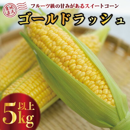 スイートコーン 野菜 ゴールドラッシュ とうもろこし 5kg 以上 高糖度 《2024年6月初旬～発送》 産地直送 スィートコーン 夏野菜 数量限定 朝採れ 農家直送 クール便 高糖度 送料無料 期間限定 令和6年産 新鮮 コーン 旬 サラダ