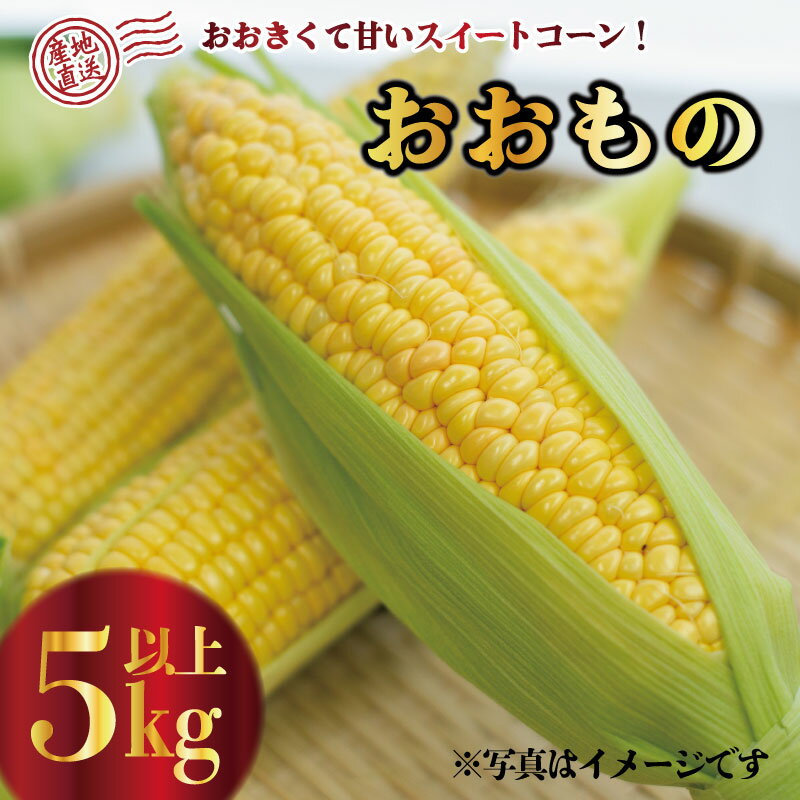 スイートコーン 野菜 おおもの とうもろこし 5kg 以上 《2024年6月中旬～発送》 高糖度 産地直送 スィートコーン 夏野菜 数量限定 朝採れ 農家直送 クール便 高糖度 送料無料 期間限定 令和6年産 新鮮