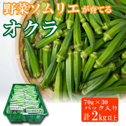 野菜 オクラ 約 2kg 以上 詰め合わせ 小分け 便利 おすそ分け こだわり栽培 味噌汁 スープ サラダ おひたし 天ぷら 和え物 朝どれ 国産 徳島県 阿波市 須見商店