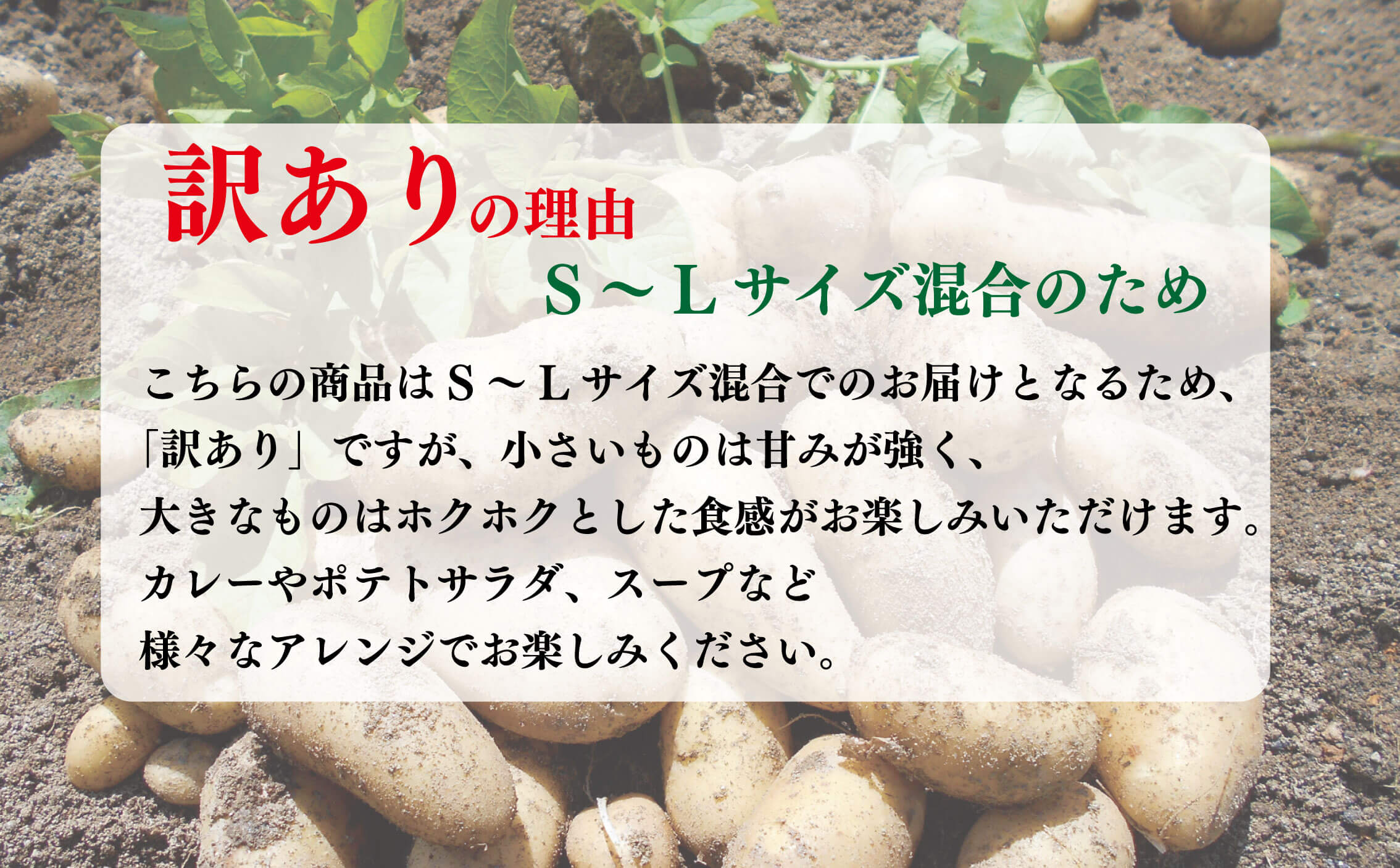 【ふるさと納税】 訳あり じゃがいも10kg メークイン 不揃い S~Lサイズ 混合 こだわり栽培 肉じゃが カレー ポテトサラダ コロッケ シチュー スープ ポトフ 芋 国産 徳島県 阿波市 須見商店 数量限定 産地直送