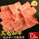 【ふるさと納税】 牛肉 ロース 焼肉 選べる 容量 500g 1kg 1.5kg 和牛 黒毛和牛 とくしま三つ星ビーフ 牛肉 ぎゅうにく 牛 肉 ビーフ BBQ...