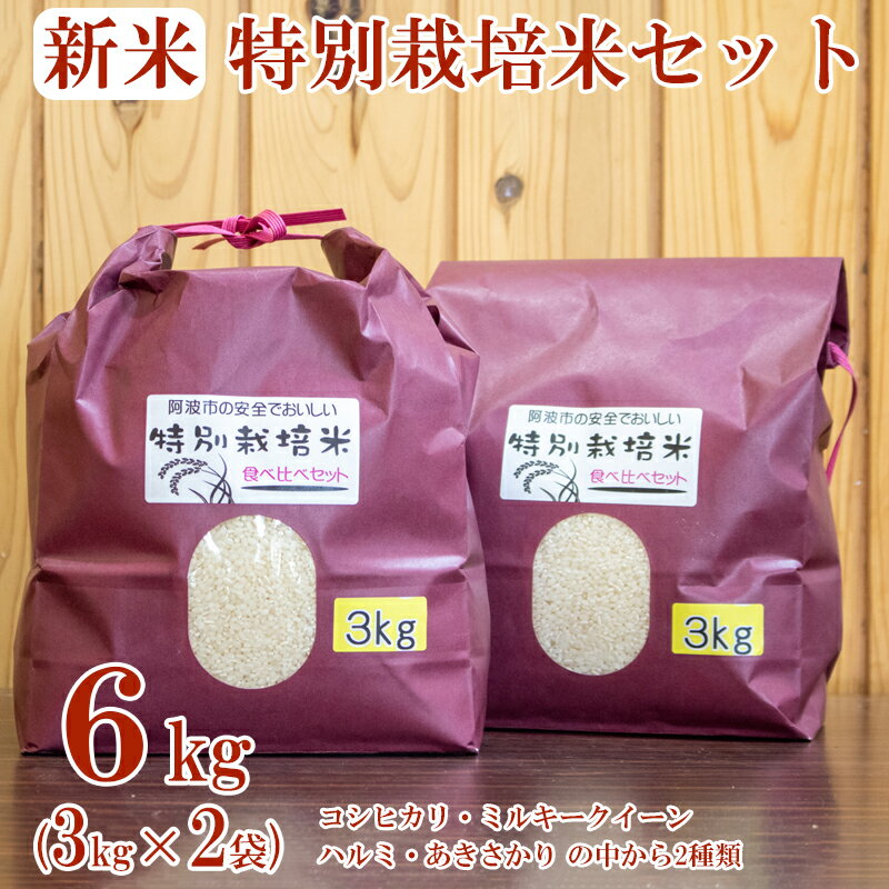 コシヒカリ 特別栽培米 食べ比べ セット 計6kg ミルキークイーン ハルミ精米 あきさかり 令和5年産 お米 お米 精米 ライス 徳島県 阿波市