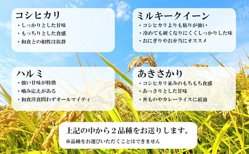 【ふるさと納税】 コシヒカリ 特別栽培米 食べ比べ セット 計6kg ミルキークイーン ハルミ精米 あきさかり 令和5年産 お米 お米 精米 ライス 徳島県 阿波市