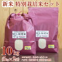 返礼品説明 名称 【ふるさと納税】令和5年産 お米 特別栽培米 食べ比べ セット 計10kg 精米 徳島県 阿波市 内容量 ・コシヒカリ精米5kg(徳島県阿波市産) ・ミルキークイーン精米5kg(徳島県阿波市産) ・ハルミ精米5kg(徳島県阿波市産) ・あきさかり精米5kg(徳島県阿波市産) ※いずれか2種類のセットになります(品種をお選びいただくことはできません) 産地 阿波市 事業者名 JAあわ市 農産物直売所 JA夢市場 返礼品説明 安心安全のため、農薬・化学肥料の窒素成分を農林水産省が定める基準の5割減におさえて栽培しています。 窒素成分を控えると収穫量は減りますが、食味が良くなると言われています。 【コシヒカリ】 炊き上がりに艶があり、食べると口の中に広がる旨みと甘みがとても強いお米です。 また香りが良く、もっちりとした粘り気もあり、旨みと香りと粘りのバランスがとれています。 【ミルキークイーン】 炊き上がりの艶が美しく、どんなお料理にもよく合う味わい豊かなお米です。 また粘りが強く、冷めても硬くなりにくいので、温かいごはんはもちろん、お弁当やおにぎりなどにもおすすめです。 【ハルミ】 少し柔らかめで、強い甘味や香りがあるお米です。しっかりとした米粒は、冷めても硬くなりにくく、もちもちとした食感を楽しむことができます。 丼物などとの相性も抜群です。 【あきさかり】 徳島県の奨励品種で、ほどよい粘りとほのかな甘みがあり、味にクセがなく誰にでも好まれるお米です。 事業者：JAあわ市　農産物直売所　JA夢市場 消費期限について 30日 配送について 入金確認後、2週間～1か月程度で順次発送 ・ふるさと納税よくある質問はこちら ・寄付申込みのキャンセル、返礼品の変更・返品はできません。あらかじめご了承ください。