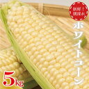 14位! 口コミ数「0件」評価「0」 ホワイトコーン 朝採れ 約 5kg 《2024年7月～順次発送》 野菜 とうもろこし スイートコーン ピュアホワイト 甘い 夏野菜 数量限･･･ 