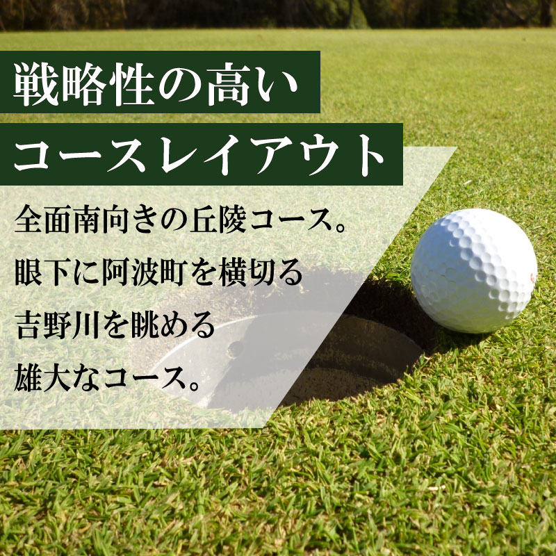 【ふるさと納税】 タカガワ西徳島ゴルフ倶楽部 ゴルフ場 利用券 プレー券 スポーツ ゴルフ 施設利用補助券 施設利用券 チケット ゴルフプレー券 ゴルフ場利用券 阿波市 徳島県