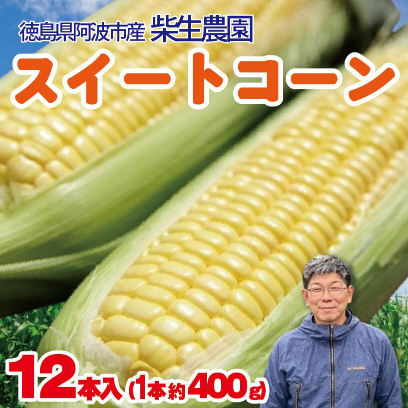 【ふるさと納税】 とうもろこし スイートコーン 12本入り 約5kg 品種 おおもの 《2025年6月~順次発送》 野菜 甘い 採れたて 産地直送 夏野菜 数量限定 朝採れ 農家直送 期間限定 新鮮 コーン 旬 サラダ 徳島県 阿波市