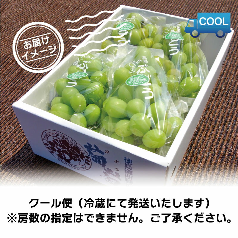 【ふるさと納税】 シャインマスカット 2kg 5kg 《 2026年 8月 中旬 から 順次発送 》 先行予約 フルーツ ぶどう 葡萄 期間限定 旬 産地直送 農家直送 産直 贈答 家庭用 ギフト 中内農園 ぶどう 直売所 徳島県 阿波市 3