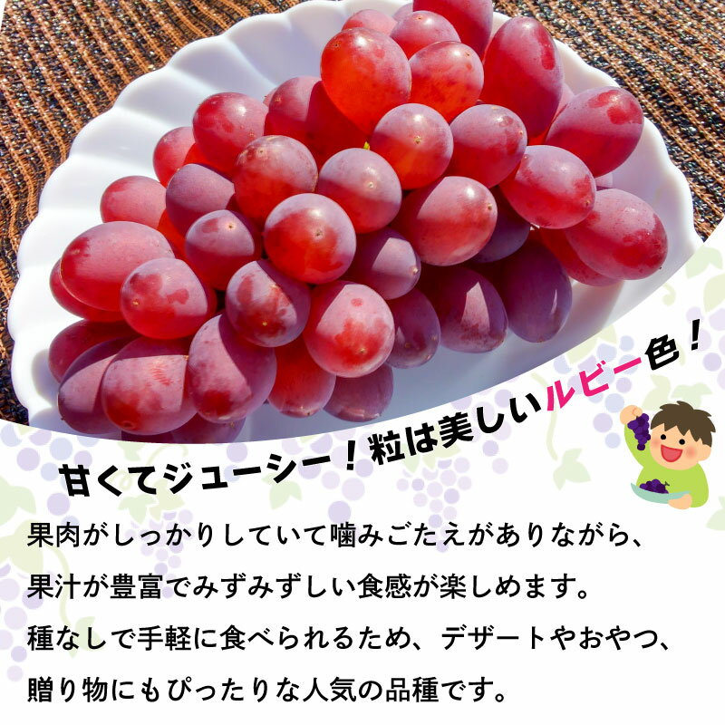 【ふるさと納税】 ぶどう サニールージュ 2kg 5kg 《 2026年 7月 下旬 から 順次発送 》フルーツ ぶどう 葡萄 期間限定 旬 産地直送 農家直送 産直 贈答 家庭用 ギフト 中内農園 ぶどう 直売所 徳島県 阿波市
