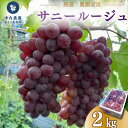 【ふるさと納税】 ぶどう サニールージュ 2kg 《 2025年 7月 下旬 から 順次発送 》フルーツ ぶどう 葡萄 期間限定 旬 産地直送 農家直送 産直 贈答 家庭用 ギフト 中内農園 ぶどう 直売所 徳島県 阿波市