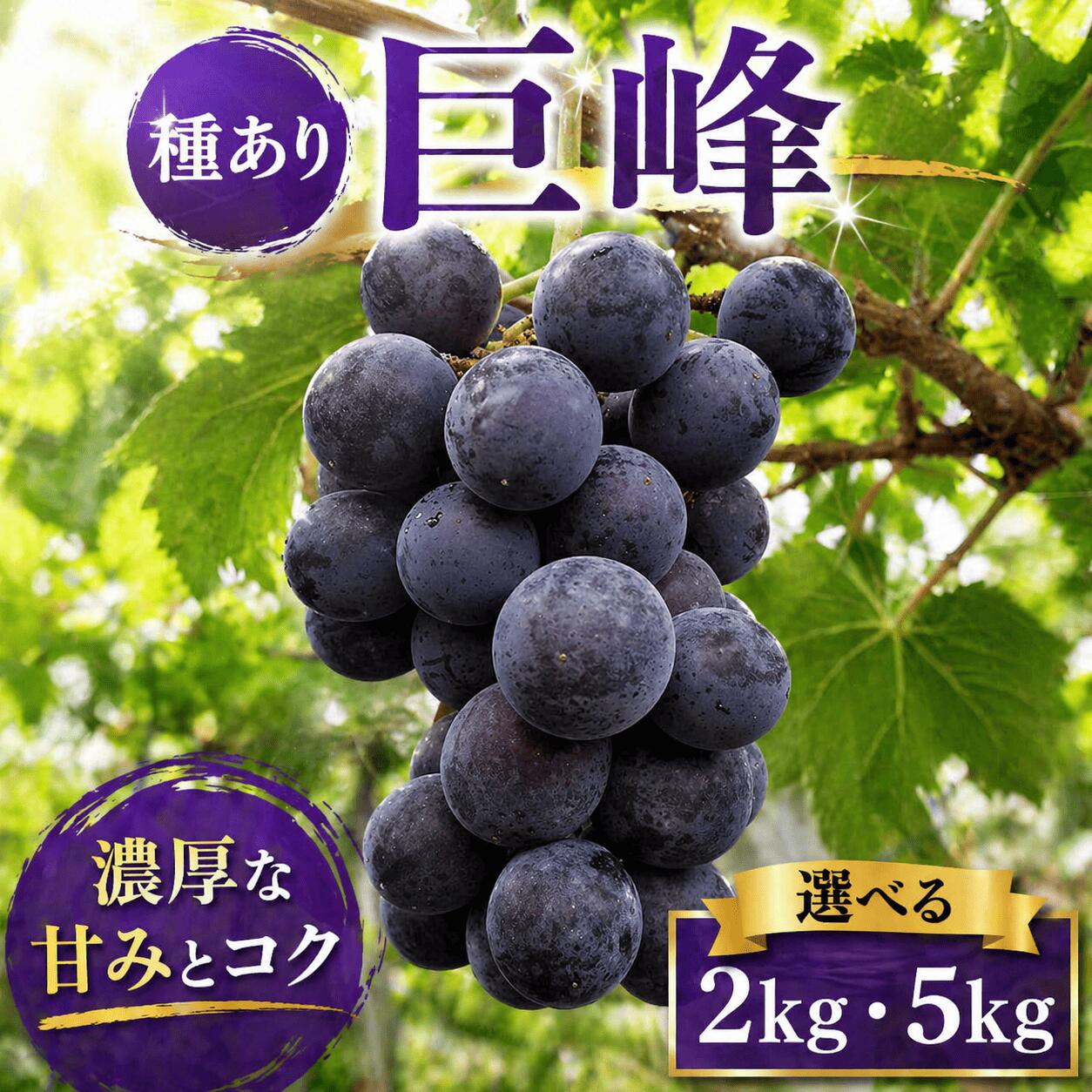 ぶどう 巨峰 種あり 2kg 5kg [ 2026年 8月 上旬 〜 順次発送 ]フルーツ ぶどう 葡萄 期間限定 旬 産地直送 農家直送 産直 贈答 家庭用 ギフト 中内農園 ぶどう 直売所 徳島県 阿波市