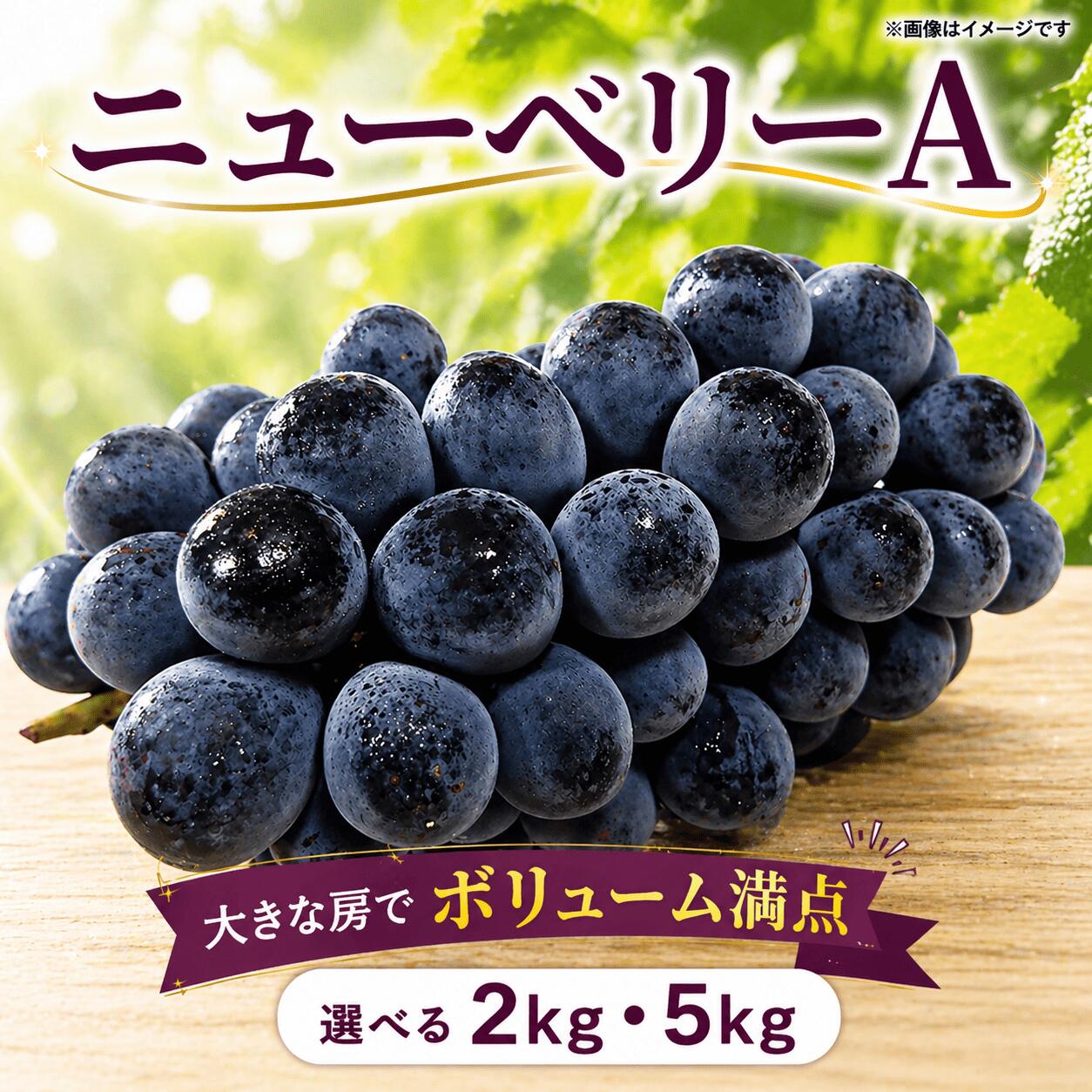 ぶどう ニューベリーA 2kg 5kg [ 2026年 8月上旬 〜 順次発送 ]フルーツ ぶどう 葡萄 期間限定 旬 産地直送 農家直送 産直 贈答 家庭用 ギフト 中内農園 ぶどう 直売所 徳島県 阿波市