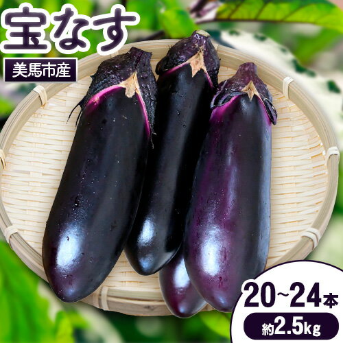 9位! 口コミ数「0件」評価「0」＜先行予約＞なす 宝なす 20~24本程度 約2.5kg 有限会社美馬グリーンサービス《7月中旬‐10月上旬出荷》ふるさと納税 野菜 ナス ･･･ 