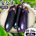 11位! 口コミ数「0件」評価「0」＜先行予約＞なす 宝なす 20~24本程度 約2.5kg 有限会社美馬グリーンサービス《7月中旬‐10月上旬出荷》ふるさと納税 野菜 ナス ･･･ 