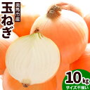 19位! 口コミ数「0件」評価「0」玉ねぎ 野菜 10kg サイズ不揃い 有限会社美馬グリーンサービス《6月下旬‐9月上旬出荷》たまねぎ 徳島県 美馬市 送料無料