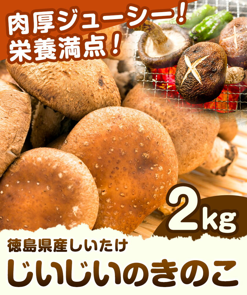 【ふるさと納税】じいじいのきのこ 2kg しいたけ《30日以内に出荷予定(土日祝除く)》一般社団法人美馬観光ビューロー 徳島県 美馬市 生しいたけ(菌床) 特産品 美馬市産 シイタケ 椎茸 揚げ物 煮物 鍋料理 BBQ 野菜 肉厚 送料無料