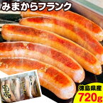 【ふるさと納税】みまからフランク 720g(90g×8本) 《30日以内に出荷予定(土日祝除く)》一般社団法人美馬観光ビューロー 徳島県 美馬市 みまから 特産品 美馬市産 青唐辛子 お鍋 ソーセージ フランクフルト ブランド豚肉 阿波美豚 送料無料