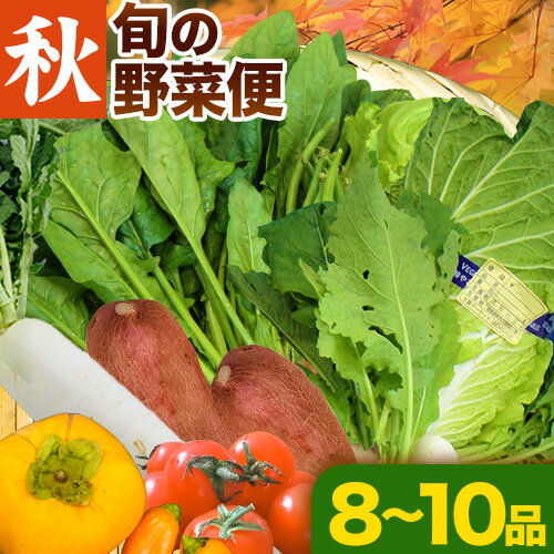 47位! 口コミ数「0件」評価「0」＜先行予約＞旬の新鮮な 野菜便 10月秋便 8～10品 アグリサポート美馬《10月上旬-10月下旬出荷》秋野菜 大根 かぼちゃ すだち さつ･･･ 