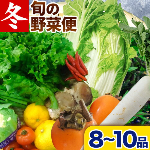 [先行予約] 旬の新鮮な野菜便 12月冬便 8〜10品 アグリサポート美馬[12月上旬-1月上旬出荷]徳島県 美馬市 冬野菜 白菜 かぶら キャベツ 愛宕柿 柚子玉 大根 里芋 玉葱 野菜 青果物 送料無料