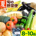 21位! 口コミ数「0件」評価「0」＜先行予約＞旬の新鮮な 野菜便 7月夏便 8～10品 アグリサポート美馬《7月上旬-8月上旬出荷》とうもろこし 夏野菜 じゃがいも きゅうり･･･ 