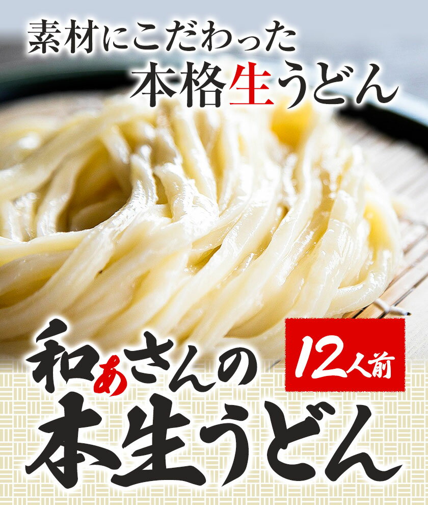 【ふるさと納税】【贈答用】 讃岐うどん おうどんセット 12人前 和ぁさん家、株式会社栄工製作所 《90日以内に出荷予定(土日祝除く)》うどん 麺 生麺 生うどん 本格 手作り 和食 ご家庭用 こだわり お手軽 ギフト セット 薬味 だし付き 徳島県 美馬市