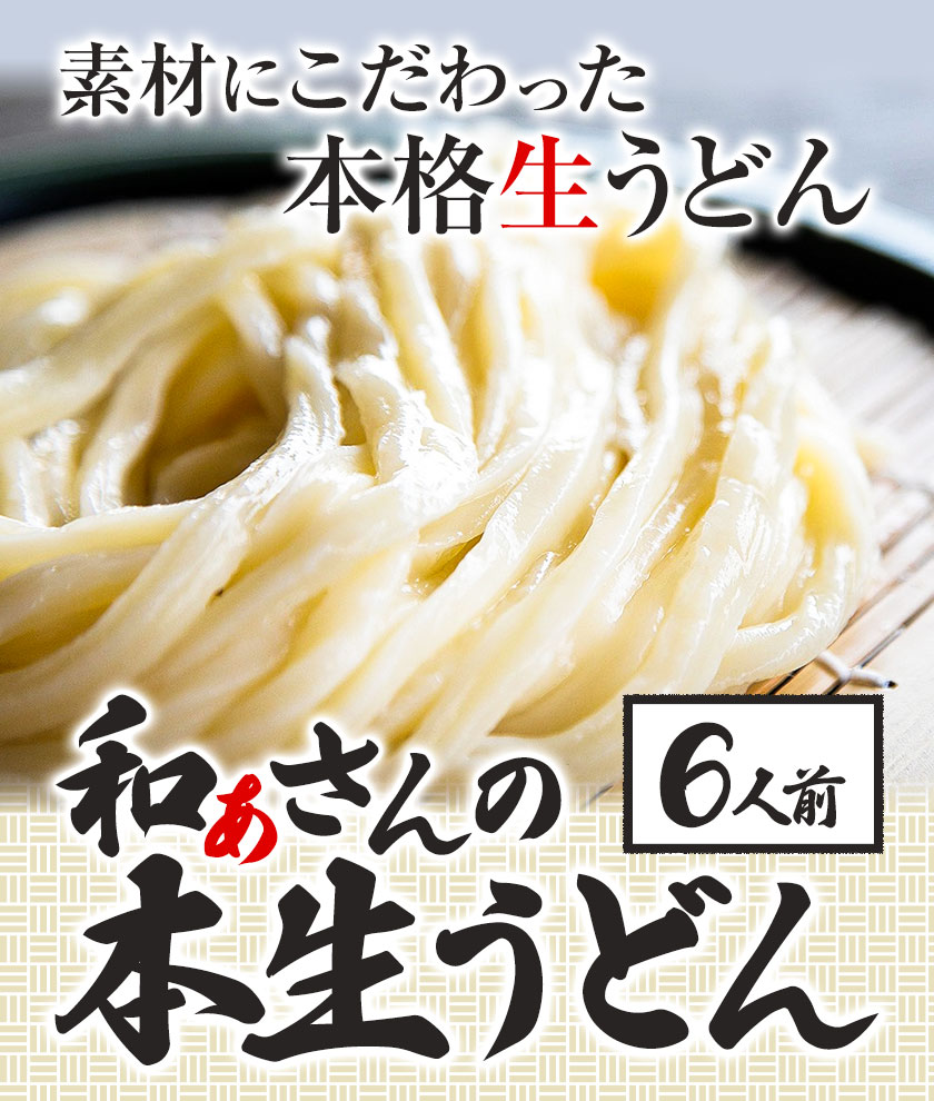 【ふるさと納税】【贈答用】讃岐うどん おうどんセット 6人前 和ぁさん家、株式会社栄工製作所 《90日以内に出荷予定(土日祝除く)》 うどん 麺 生麺 生うどん 本格 手作り 和食 ご家庭用 こだわり お手軽 ギフト セット 薬味 だし付き 徳島県 美馬市