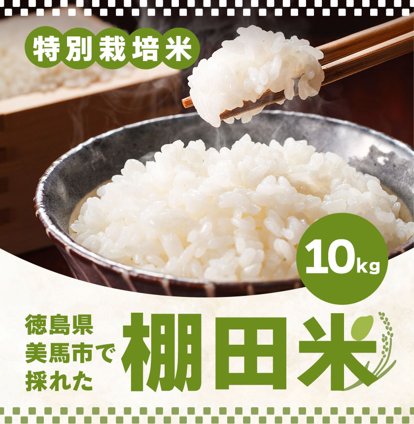 【ふるさと納税】米 棚田米 10kg 特別栽培米 エイコーファームごはん こめ ご飯 精米 徳島県 美馬市
