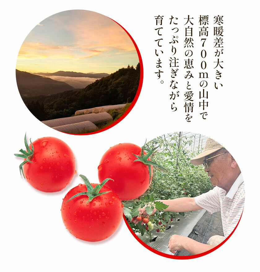 【ギフト】大分産 どんこ椎茸詰合せ(215g) 【北海道・沖縄・離島配送不可】