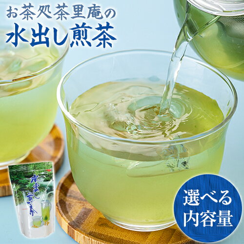 【ふるさと納税】水出し煎茶 100g(10g×10個) 選べる内容量 3袋 または 5袋 お茶処茶里庵 さりあん《90日以内に出荷予定(土日祝除く)》徳島県 美馬市 お茶 茶 緑茶 日本茶 煎茶 深蒸し煎茶 深蒸し 水出し ティーバッグ ティーパック･･･