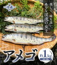 徳島県美馬市の画像2