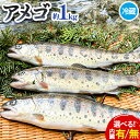 ふるさと納税】アメゴ 約1kg 選べる 内臓 あり なし 木屋平淡水養魚場《4月上旬-10月下旬頃出荷(土日祝除く)》 【配送不可地域あり】※北海道・沖縄・離島 徳島県 美馬市 川魚 アメゴ あまご 塩焼き 唐揚げ 送料無料