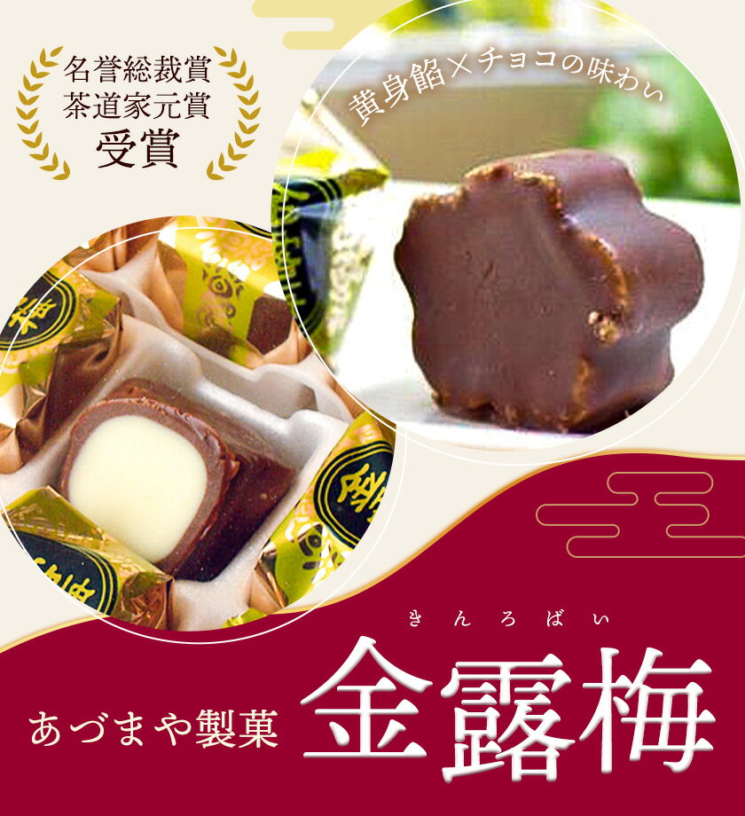 【ふるさと納税】 和菓子 黄身餡子 チョコレート 金露梅 選べる 15個 30個 45個 60個 90個 あづまや製菓有限会社 《30日以内に出荷予定(土日祝除く)》 徳島県 美馬市 阿波 郷土銘菓 自家製黄身餡 チョコ 名誉総裁賞 茶道家元賞 贈り物 お茶請け