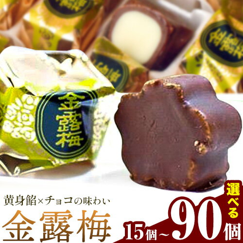 和菓子 黄身餡子 チョコレート 金露梅 選べる 15個 30個 45個 60個 90個 あづまや製菓有限会社 [30日以内に出荷予定(土日祝除く)] 徳島県 美馬市 阿波 郷土銘菓 自家製黄身餡 チョコ 名誉総裁賞 茶道家元賞 贈り物 お茶請け