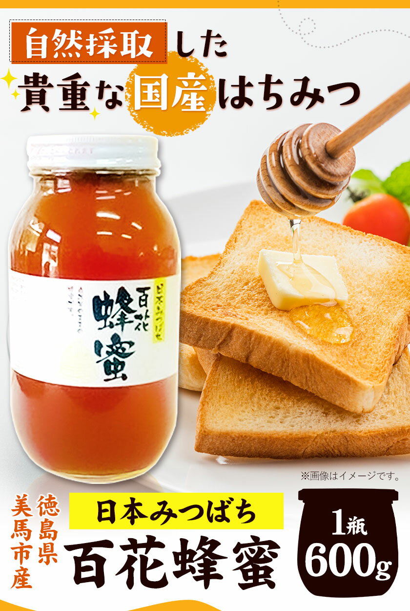 【ふるさと納税】はちみつ 国産 蜂蜜 非加熱 日本みつばち 百花はちみつ 600g 株式会社アグリサポート美馬 《30日以内に出荷予定(土日祝除く)》 ハチミツ 自然採取 1瓶 徳島県 美馬市