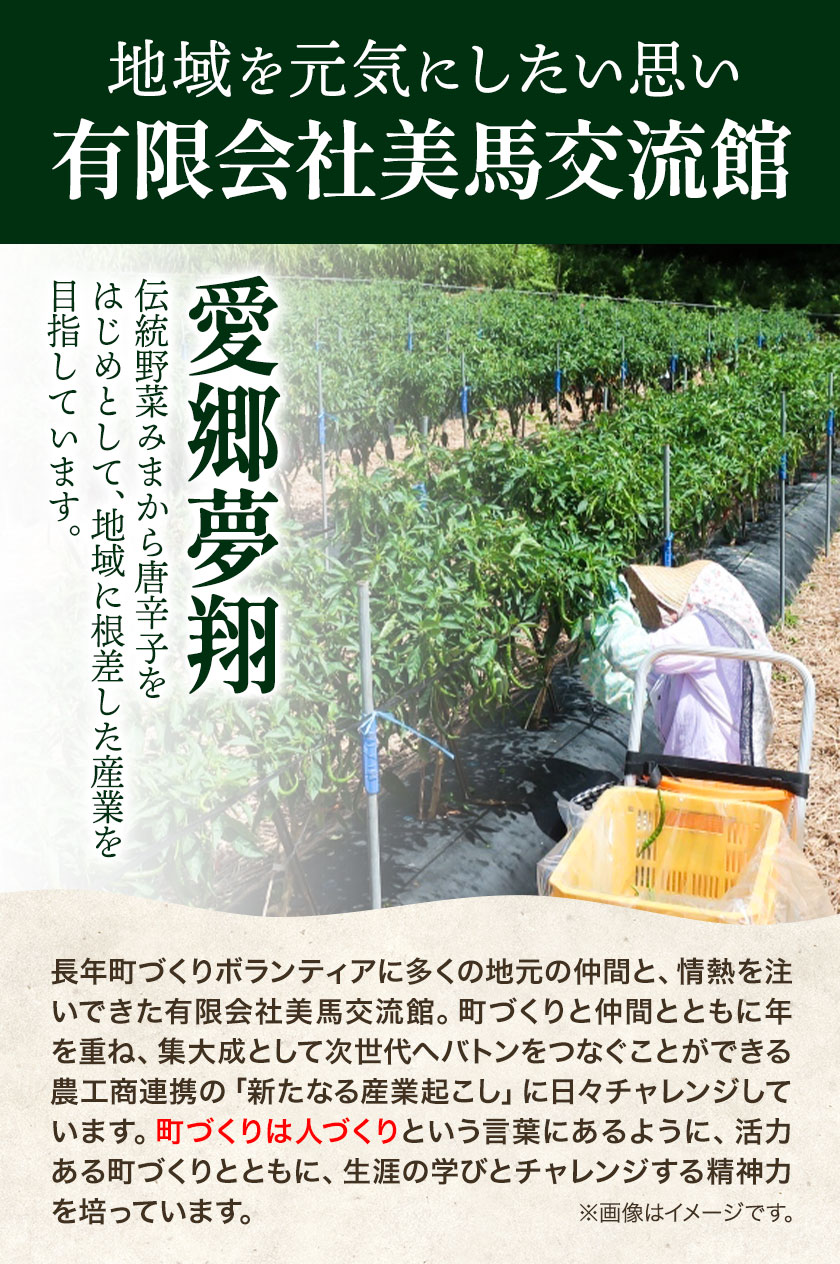【ふるさと納税】 千切り 切り干し 大根 3袋 100g×3袋 有限会社美馬交流館《12月上旬-5月上旬頃出荷》 徳島県 美馬市 切り干し大根 大根 つけもの 送料無料